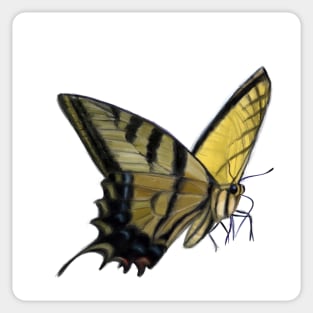 Butterfly Sticker